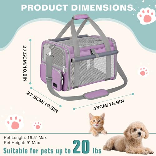 BTNEEU Foldable Cat Carrier Carrier Small Dog Carrier Airline Approved Breathable Carrier Bag with Inner Strap, Washable Soft Cushion and Adjustable Shoulder Strap (Purple)