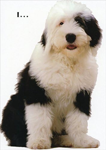 flora bama small breed