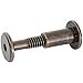 Statuary Bronze Connector Bolts - 2-3/4