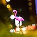 2 Pcs Flamingo Ground Spike Lights Solar Powered Garden Light Waterproof Park Decorative Lawn Lamp Pathway Outdoor Yard Walkway (Solar Flamingo)