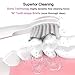 5 Modes Teeth Whitening Electric Toothbrush Sonic Toothbrush with 3 Heads and 1 Interdental Head, Travel USB Rechargeable toothbrushes with Smart Timer, Waterproof Pink for Girls by Gloridea