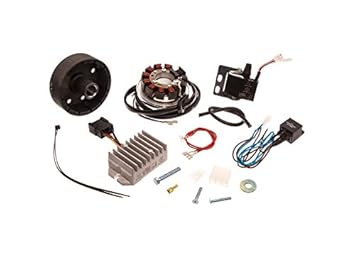 Power Dynamo Generator And Ignition System Dkw 125 175 200 250 12