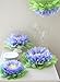 Butterfly Craze Girls Party Decorations - Set of 7 Tissue Paper Flowers … (Pink)