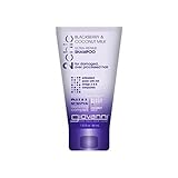 Giovanni 2Chic Ultra Repair Shampoo, Blackberry and Coconut Milk, 1.5 Fluid Ounce