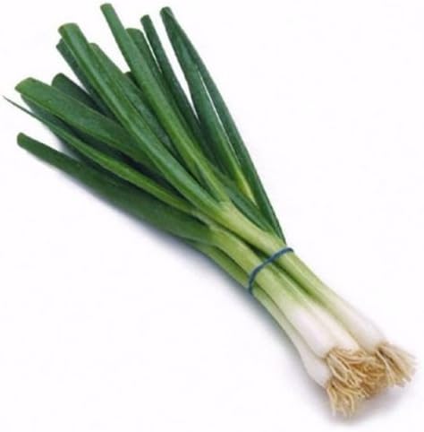 Cebolla de verdeo/cebolla verde agrupamiento 500 semillas de ...