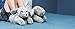 Happy Feet Slippers Gray Puppy Animal Slippers for Adults and Kids, Cozy and Comfortable, As Seen on Shark Tank (Medium)