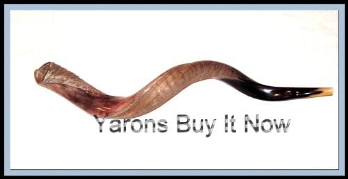 New 40" Yemenite Shofar Kudu Horn Half Polished Natural