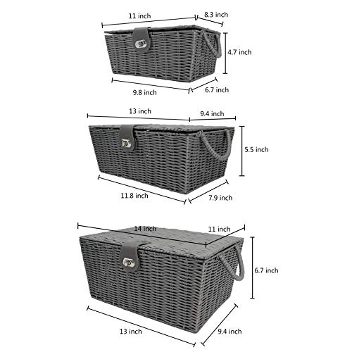 OLLVIA Wicker Storage Baskets with Lid for Organizing, 3 Foldable