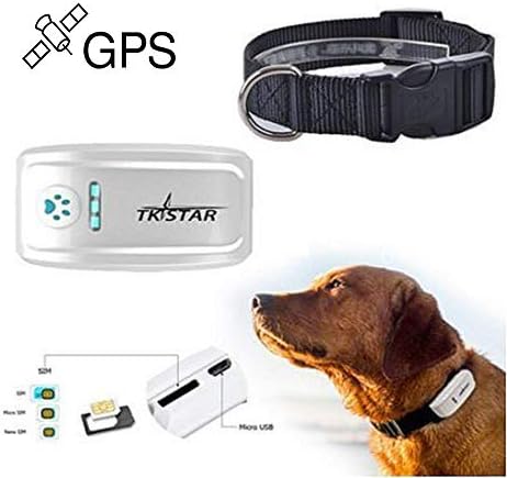 kid krazy dog tracker