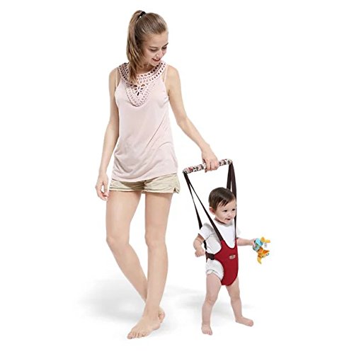 image for Sealive Handheld Baby Walker Kids Toddler Walking Baby Toys Adjusted B