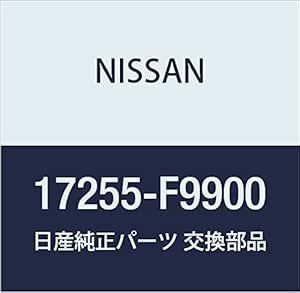 Nissan 17255 jk000