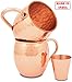 Moscow Mule Copper Mugs – Set of 2 16 oz with Shot Glass and Straws – 100% Pure Copper without Extra Metals – Perfect Quality – A Perfect Gift for any Occasion – Hammered Mug – by ZAFMANN