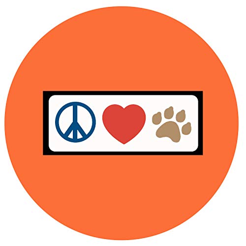 Pawtitas Dog Collar for Extra Small Dogs Training Puppy Collar with Solid - XS - Orange