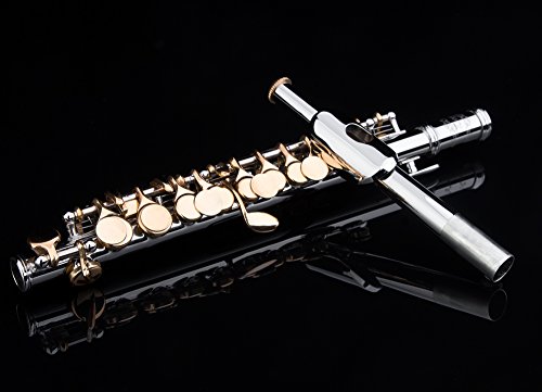 Glory Key of C Piccolo with Case, Joint Grease, Cleaning Cloth and Rod, and Gloves, Silver/Gold keys ~ More COLORS Available ! CLICK on LISTING to SEE All Colors - Thumbnail 7