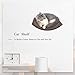 Scurrty Cat Shelf Curved Wall Mounted Cat Perch with 2 Different Mats Cat Wall Bed Modern Design Up to 35lb … (Black)