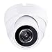 HDView 2.4MP (HD-TVI/AHD/CVI/Analog) 4-in-1 Dome Camera 1080P Outdoor Indoor Turbo Platinum 2.8mm Fixed Lens IP66 Night Vision Black Film Matrix EXIR LED CCTV Security Surveillance System