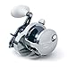 Shimano Trinidad Conventional Reels (TN30A) Fishing
