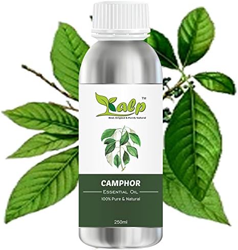 Kalp Camphor Essential Oil Pure Natural Therapeutic Grade Oil For Skin Care & Hair Care (250ml)