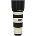 Canon EF 70-200mm f/4L USM Telephoto Zoom Lens for Canon SLR Cameras
