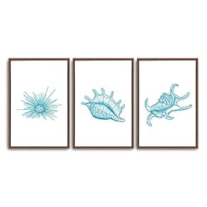 3 Piece Framed Canvas Wall Art Simple Seabed Elements Canvas Prints Home Artwork Decoration for Living Room,Bedroom - 16"x24"x3 Panels