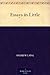 Essays in Little by