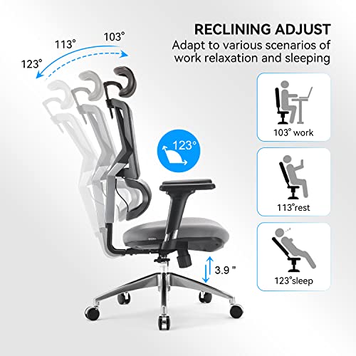 SIHOO Ergonomic Office Chair High Back Desk Chair with Lumbar Support