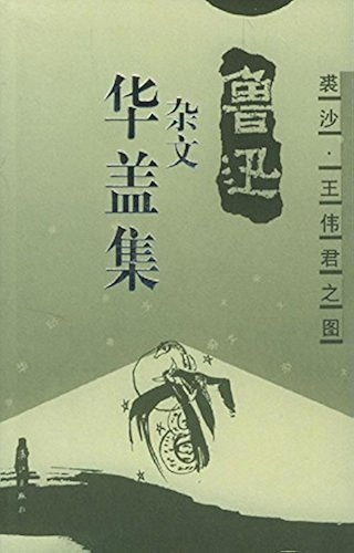 Download ???????? (Chinese Edition) PDF