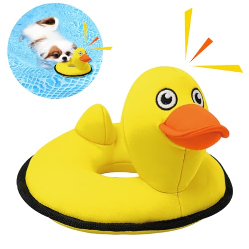 Lepawit Floating Duck Squeaky Toy