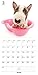 The Dog Wall Calendar 2019 Bull Terrier