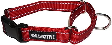 Pawsitive Collars Reflective Martingale Collar - Feel Good About Your Purchase and Help a Shelter in Need! We Donate a Collar for Every Collar Sold. (Medium, Red)