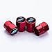 HEY KAULOR 5 Pcs Metal Car Wheel Tire Valve Stem Caps for Ford Explorer F-150 F250 F350 F450 F550 Fusion Explorer Edge with Key Chain Logo Styling Decoration Accessories ...