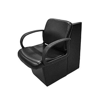 Salon Hair Dryer Chair Mitologies