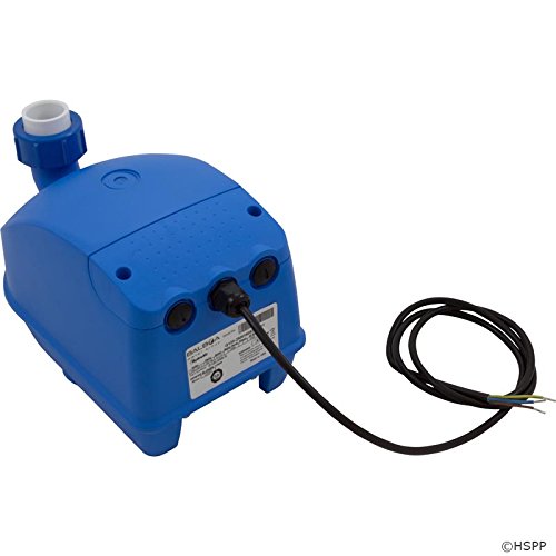 Balboa Water Group Blower, Genesis, 1200W