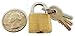 SAFEGUARD 12-Piece Mini Brass Padlocks 13/16