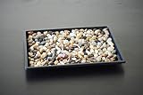 9GreenBox - Bonsai Humidity Drip Tray 7" x 9" with Pebbles Rocks