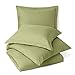 Nestl Light Sage Duvet Cover Queen Size - Soft Double Brushed Queen Duvet Cover Set, 3 Piece, with Button Closure, 1 Duvet Cover 90x90 inches and 2 Pillow Shams
