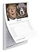 FunWipes Donald Trump Toilet Paper With Laminated Poster And PDF Calendar