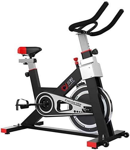 WEHOLY Indoor Exercise Bike Indoor Cycling,Studio Cycles Exercise Machines Cardio Workout, Adjustable Seat Handlebars Smartphone APP Monitoring,Maximum Load Capacity 100KG