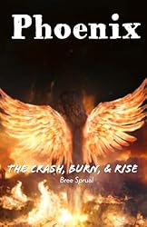 Phoenix: The Crash, Burn, & Rise