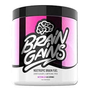 Brain Gains Nootropic Brain Fuel, 260 g, Mango