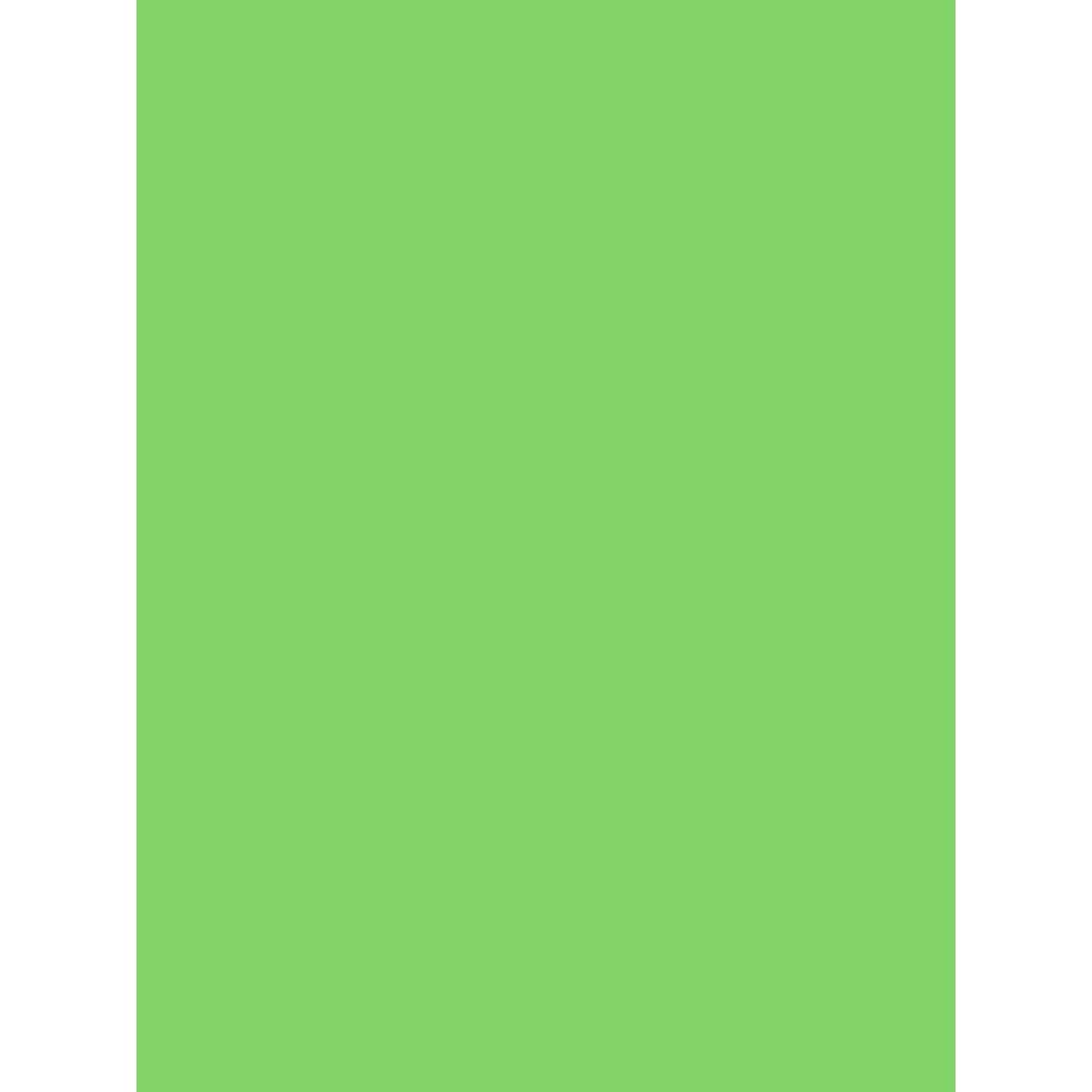 Clairefontaine 384522C Pack of 25 Sheets of Coloured Poster Paper 90g/m² Format 60x80cm Cutting Writing Collage Creative Activity Adults Children Colour Mint — image 1