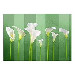 Arum Lilies with Green Striped Textured Background - Wall Mural, Removable Sticker, Home Decor - 66x96 inches