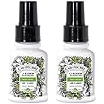 Car-Pourri Car Odor Air + Fabric Odor Freshener Spray, Fresh Cruise, Travel Size 1.4 Fl Oz (Pack of 2)