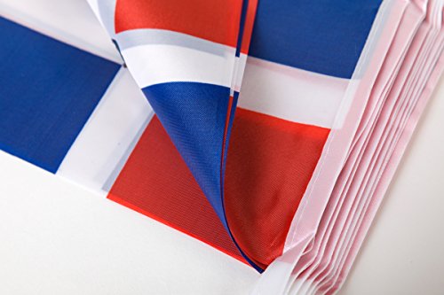 Lovevc 100 Feet Dominican Flag Dominica Flag National Country