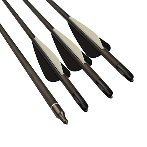 Archery 28 Inch Carbon Arrow Spine 400 Practice Hunting Arrows with Removable Tips for Compound & Recurve Bow (Pack of 6