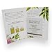 Eminence Bright Skin Masque Card Sample Set of 6 Travle Size 3 Ml Each