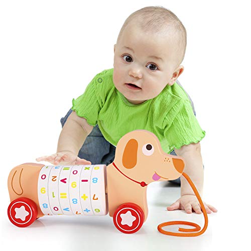 image for Voamuw Puppy Wooden Push and Pull Math Toy for Preschool Kids Toddler 