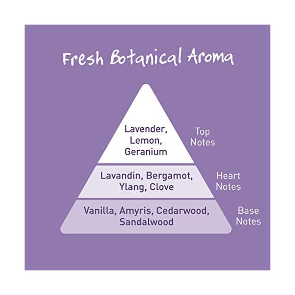 Salt of the Earth Natural Deodorant Roll On Lavender & Vanilla - 100% Natural Ingredients, Effective Protection, Vegan…