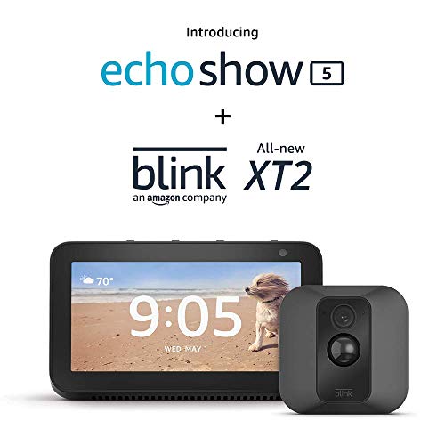view blink camera on echo show