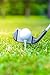 AckBrands MeasureTees Golf Tees - 2 3/4 or 3 1/4 Inch - Wood (100 Pack) or Plastic (30 Nearly Unbreakable)